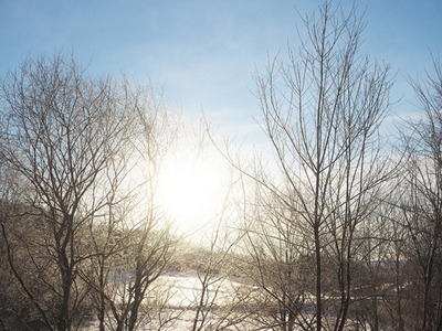 2019.1.2.600.jpg
