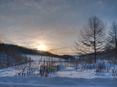 2010_1_1.jpg