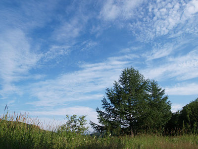 aozora0728.jpg