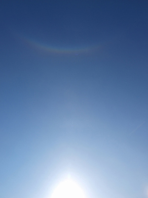 sakasaniji120219.jpg