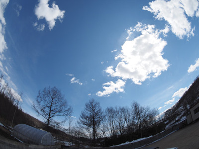 sky8mm.jpg